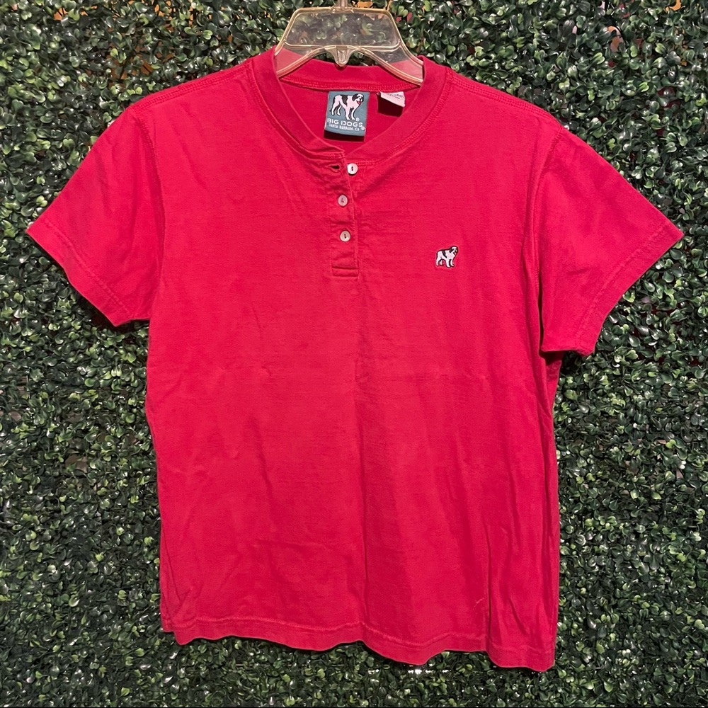 Big Dogs tee  YOUTH BOYS